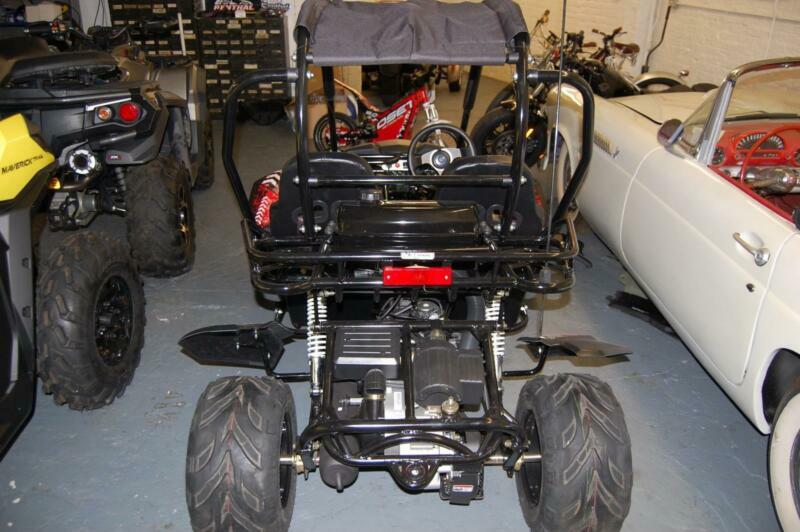 quadzilla cheetah 150